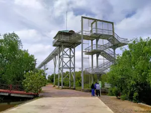 Pattani Sky Walk