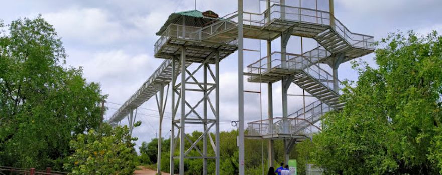 Pattani Sky Walk