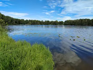 Naturepark Dahme-Heideseen