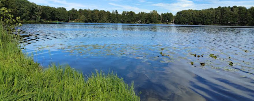 Naturepark Dahme-Heideseen