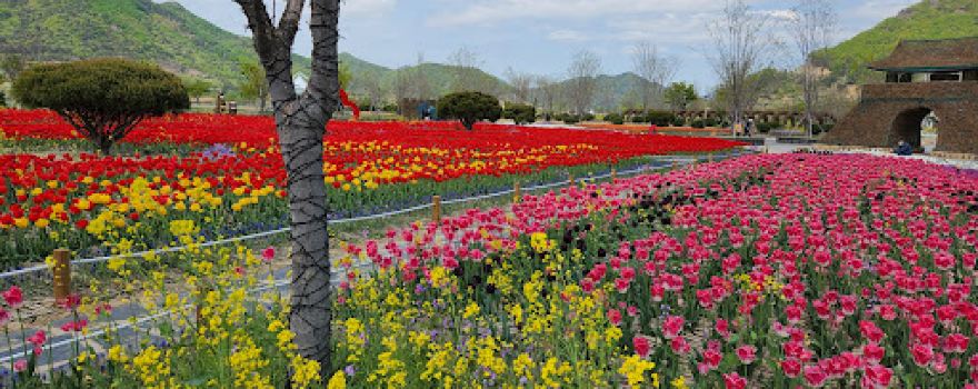 Hwangsan Cultural Sports Park