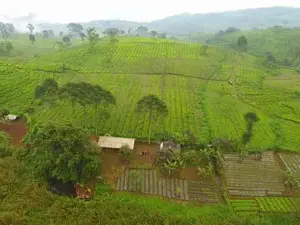 Sungai Cipunagara