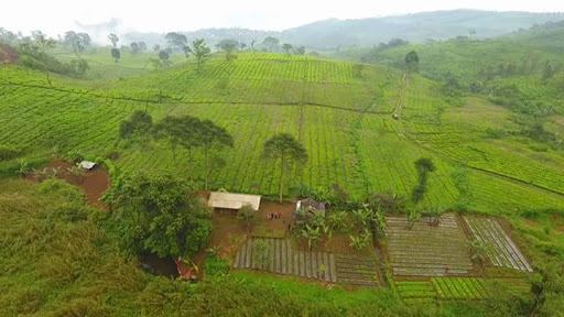 Sungai Cipunagara