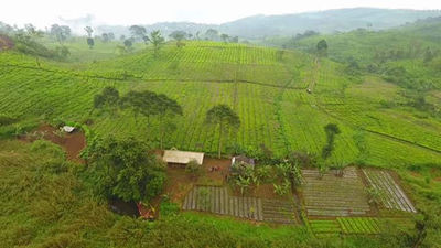 Sungai Cipunagara