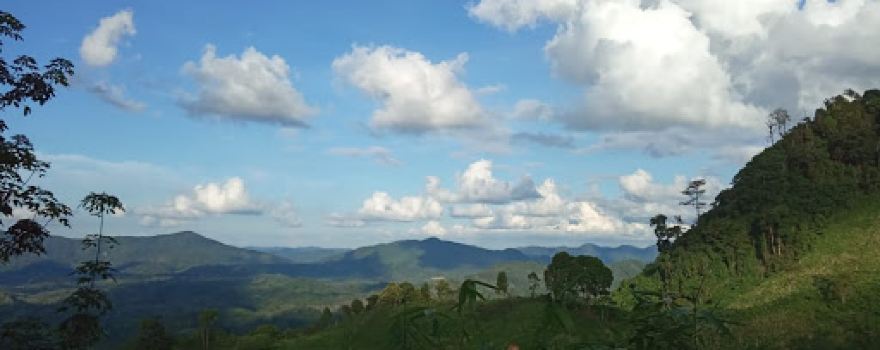 Puncak Tempurung Garden