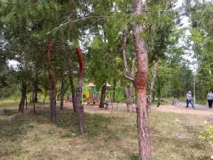 Solnechnyy