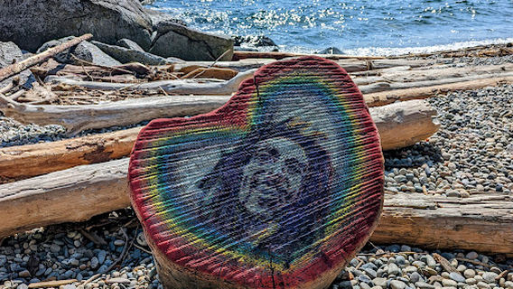 Парк Сникетт