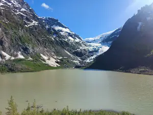 Стьюарт