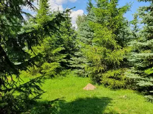 Park Sela Palyanychyntsi