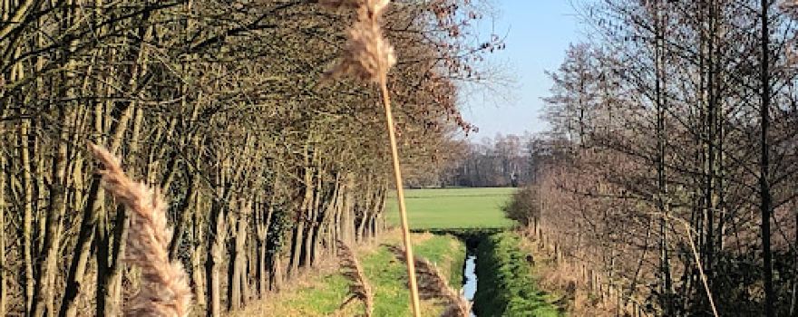 Soerense Broek