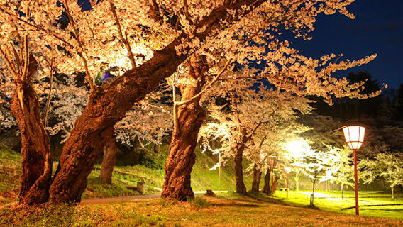 Maemori Park