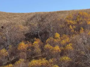 Hongshiya National Ecological Park Inner Mongolia