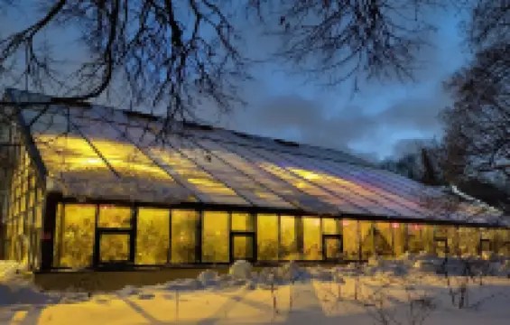 Ботанический сад МГУ «Аптекарский огород»