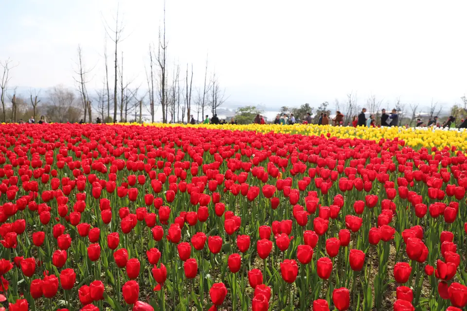 2_Changshou Lake