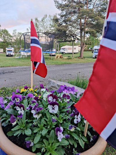 Storenga Camping