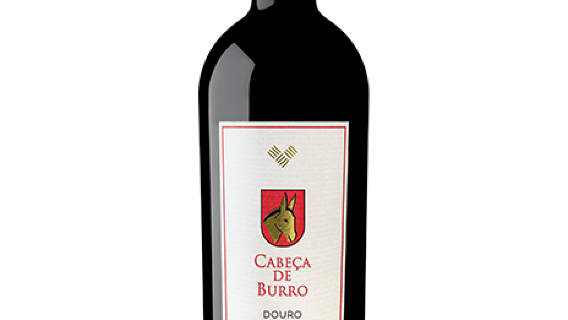 Porto Reccua Vinhos