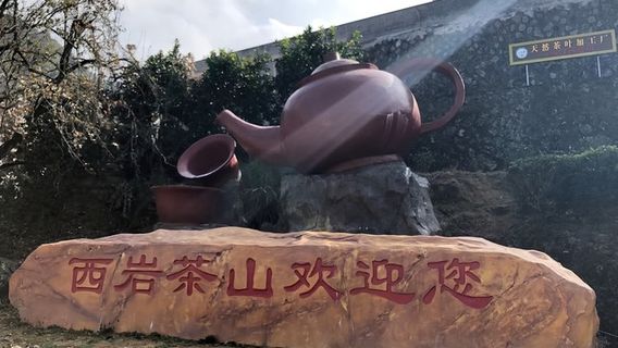 Dongding Lake Tea Plantation, Xiyan Mountain, Dapu County