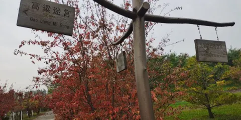 燈塔迷宮花園