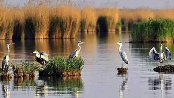 Shahu National Wetland Park