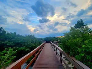 Cedar Beach Town Nature Preserve