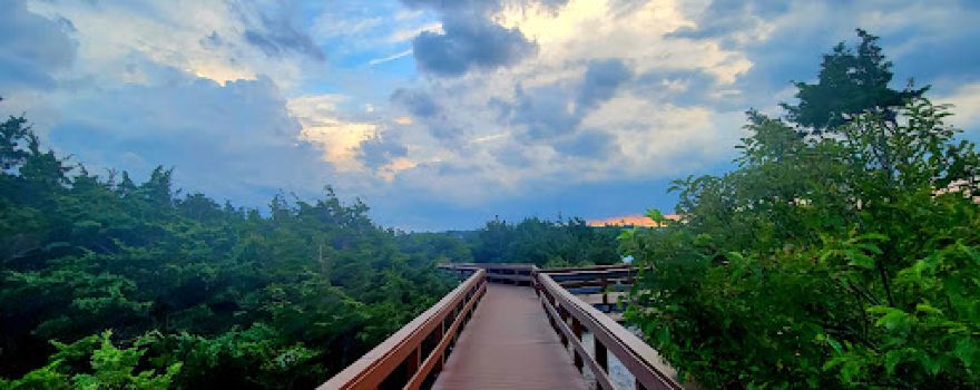 Cedar Beach Town Nature Preserve