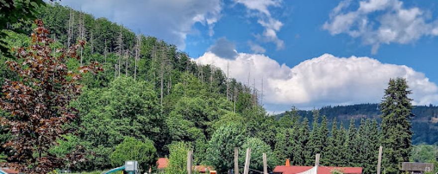 Waldbad Ruhla