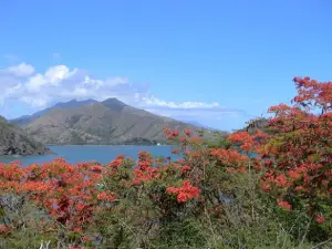 Mont Panié