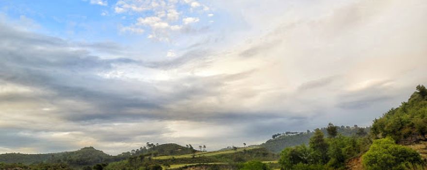 Riera de Talamanca