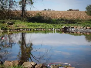 Freedom Valley Campground