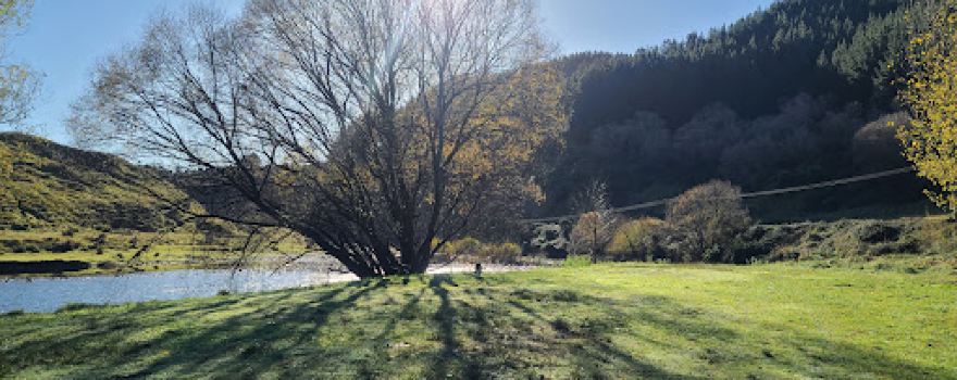 Glenfalls DOC campsite