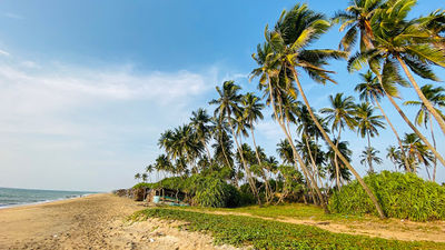 Iranawila Beach