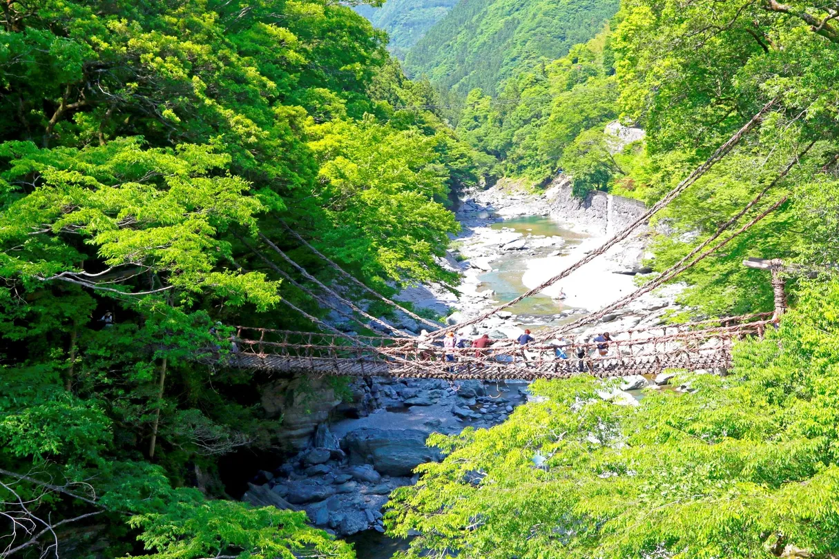 祖谷葛藤橋