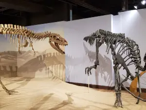South Carolina State Museum