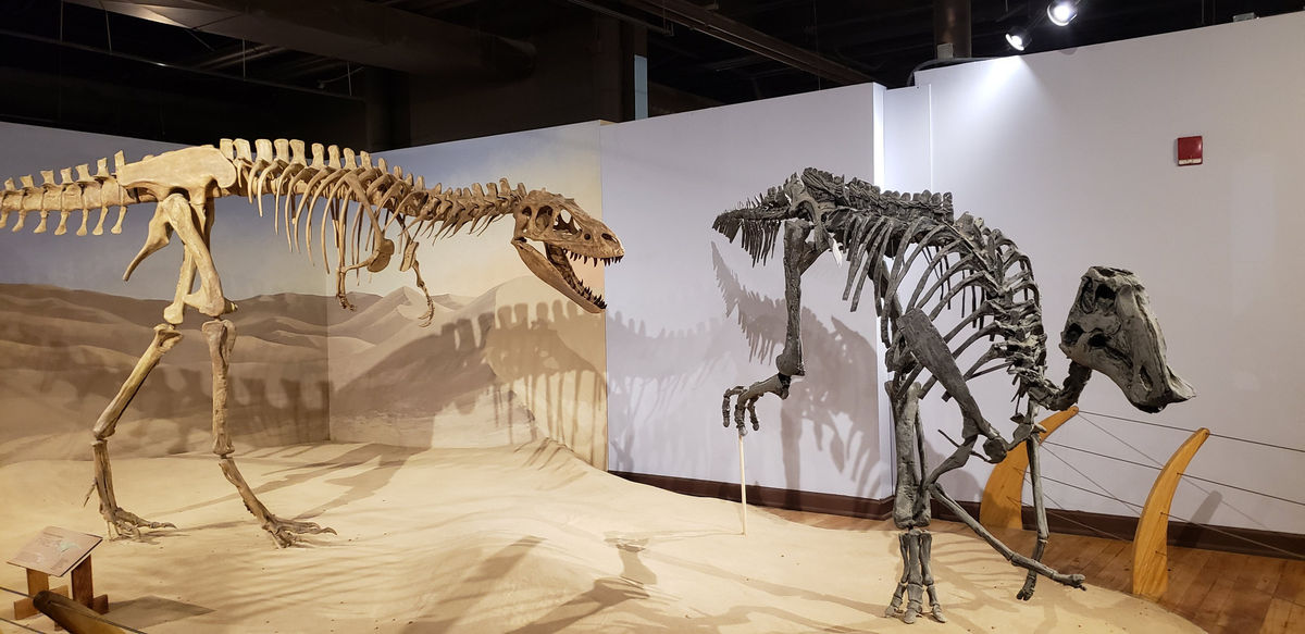 South Carolina State Museum