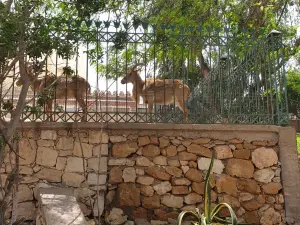 Agadir Birds Valley