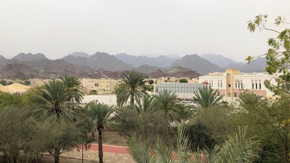 حديقة التلة
