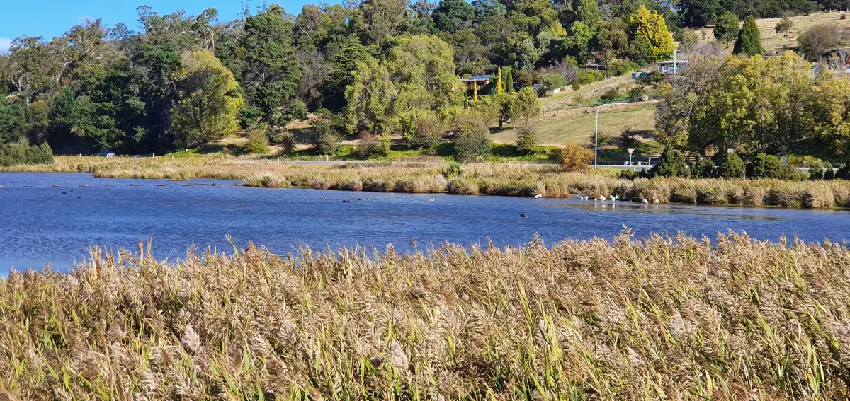 Tamar Island Wetlands Centre
