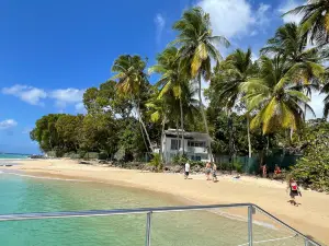 El Tigre Catamaran Sailing Cruises