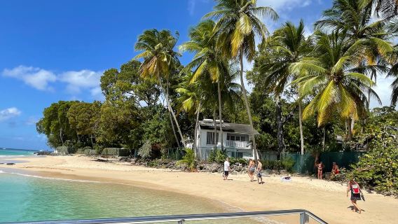 El Tigre Catamaran Sailing Cruises