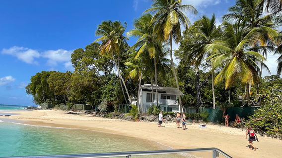 El Tigre Catamaran Sailing Cruises