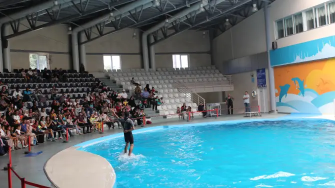 5_Istanbul Dolphinarium