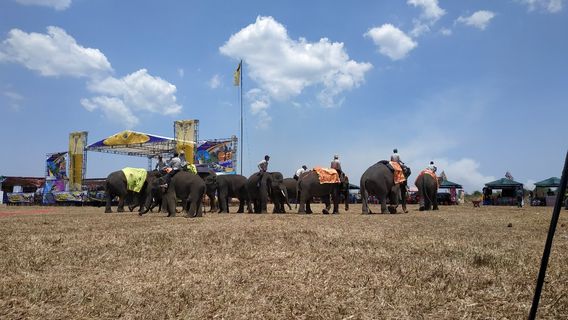 Way Kambas National Park
