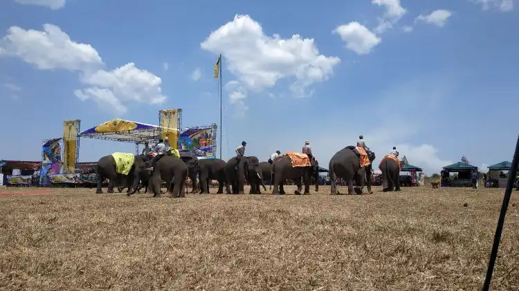 Hotel dekat Lapangan SMANSAWARA Way Jepara