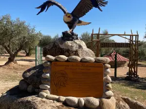 Zoo Safari Wildlife Adventure