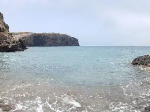 North Beach Sardina
