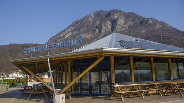 House of Bordano Butterfly