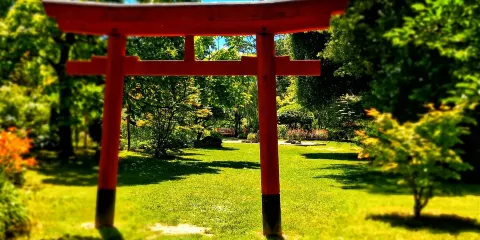 Jardin zen d'Erik Borja