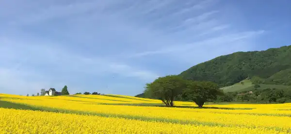 Hotels in Kami