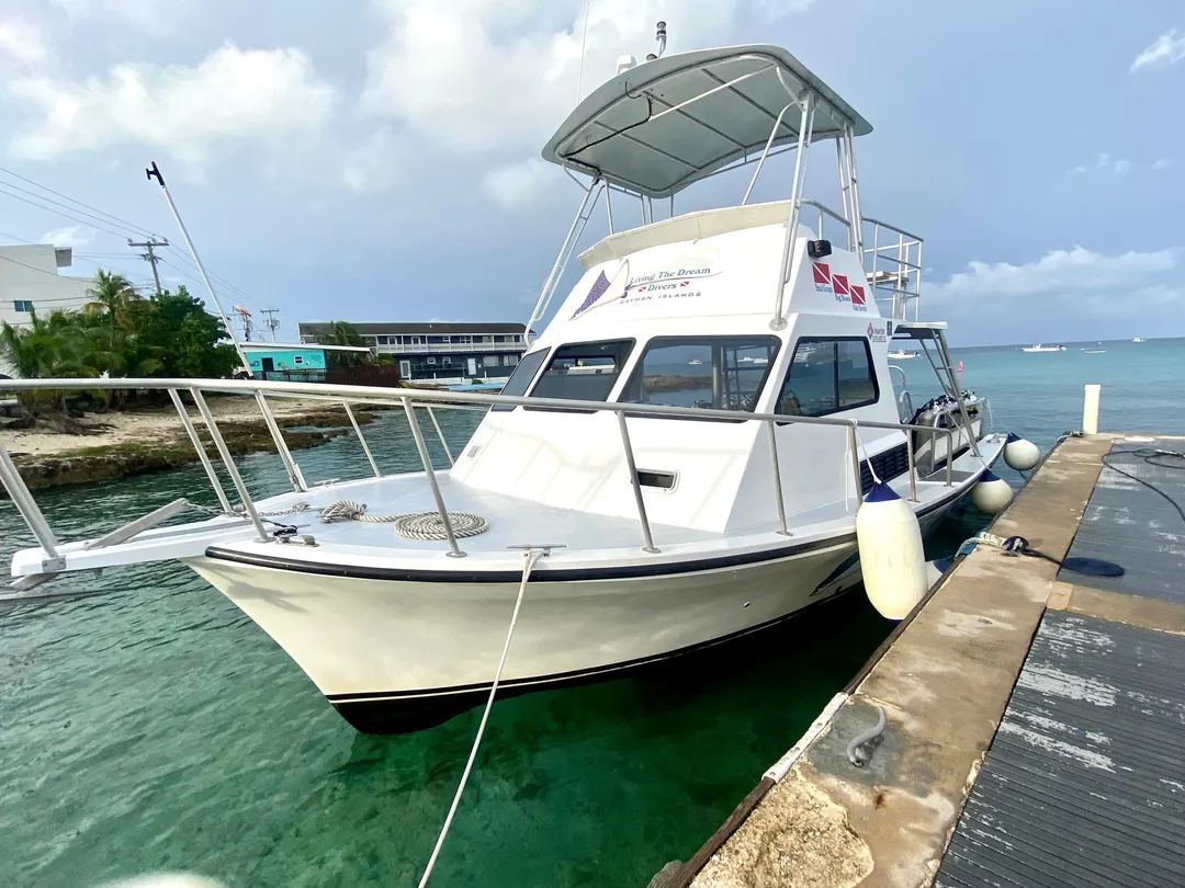 5_Living The Dream Divers