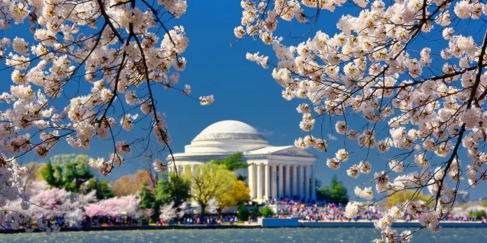 Tidal Basin image 1
